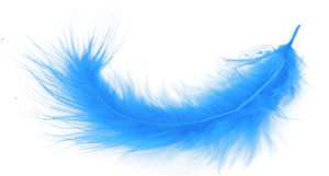 blue_feather